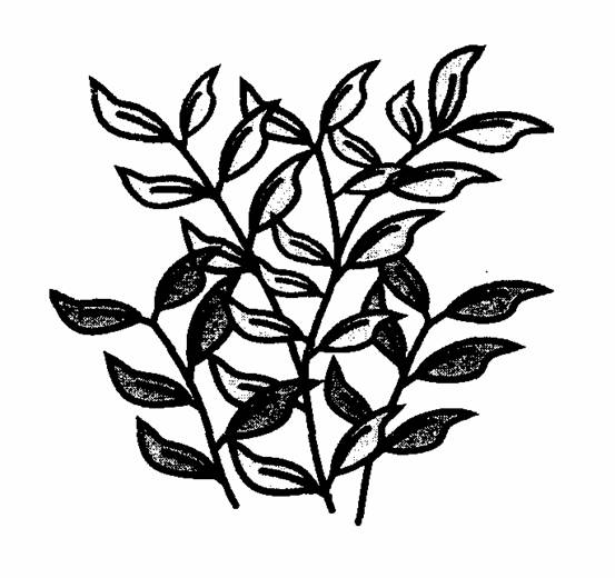 �̻ᴫͳͼ�꣨��ʮ����